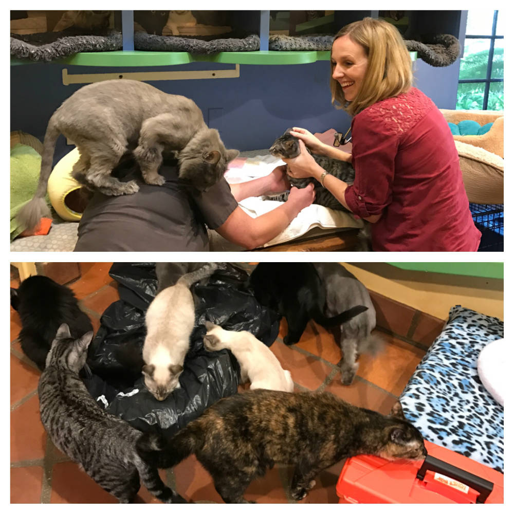 Doctor Home Visit 101416